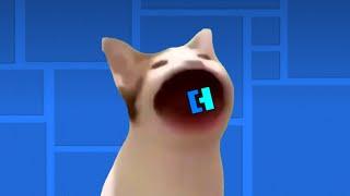 Pop cat play geometry dash