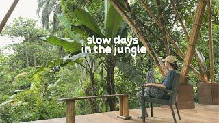 What I do as a Content Creator in the Rainforest | Slow days living in the jungle 