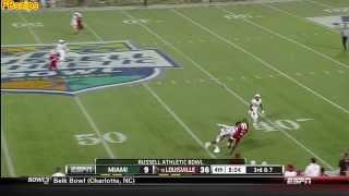 DeVante Parker with an acrobatic catch