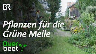 „Grüne Meile“ - Pflanzenmarkt im Pfaffenwinkel