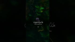 “Voice of the Quran | Abdullah Al Musa |Heart-Touching Tilawat  #shorts”