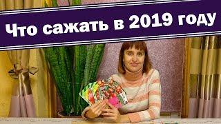 Выбираем семена томатов 2019. Высокорослые томаты