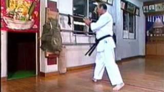 Uechi-ryu foot techniques (Kiyohide)