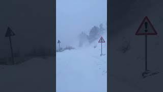 Ай-Петри сейчас Айпетри сейчас На Ай-Петри буран и идет снег Дорога с Соколиного закрыта #айпетри