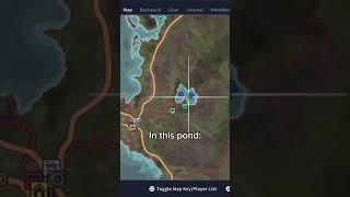 How to catch a diamond channel catfish - Call of the wild: The Angler