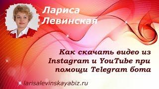 � Как скачать видео из Instagram и YouTube при помощи Telegram бота