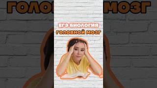 мозг #умскул #жаннаказанская #биология #биологияегэ