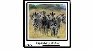 Expository Writing (Primary)