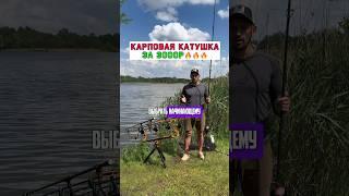 Отличная карповая катушка за 3000р #карпфишинг