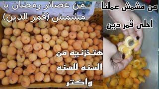طريقة القمر الدين المركز وتخزين المشمش من السنه للسنه #يومياتي_انا_وننوسه