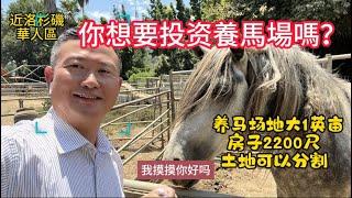 你想要養馬場嗎？屋主急售地大一個英苗的養馬場，房子2200尺，三房二浴；有鄰居己建大獨立屋加花園，有鄰居分割土地建多棟！|美國看房二十年｜看房日記｜投資土地｜土地分割｜土地開發｜