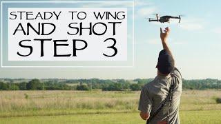 Hunting Dog Training - Steady To Wing and Shot - Step 3