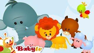Animal Sounds and Names for Kids & Toddlers    | @BabyTV