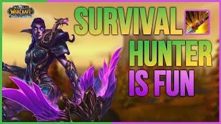 Survival Hunter is fun!  - PvP 3.3.5 / Battlegrounds WARMANE WotLK Classic 2022