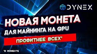 Dynex - новая майнинг монета, профит больше всех остальных