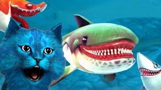 Я СТАЛ АКУЛОЙ | СИМУЛЯТОР АКУЛЫ SHARK SIMULATOR | КОТЁНОК ЛАЙК