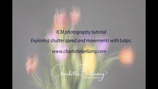 ICM tutorial Exploring shutter speed and periods of stillness in an exposure