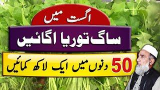 Profitable farming of Saag Toria (Brassica campestris) | Crop Reformer