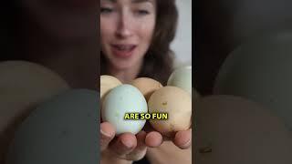Chicken Fun Facts!