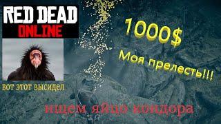 Как найти яйцо кондора в Red dead online