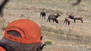 Hunting the Elk Rut - BIG Colorado Bulls (Eastmans' Hunting Journals)