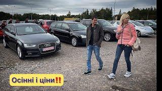 Автобазар‼️ Осінь і ціни‼️ Перевірка авто, як правильно ⁉️