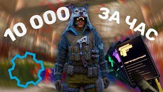 КУЧА ДЕТАЛЕЙ ЗА 5 МИН ┃ФАСТ ФАРМ ┃WARFACE 2024