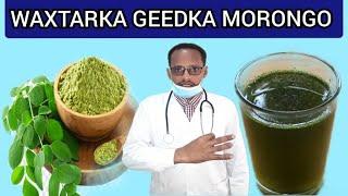 GEEDKA AMA CALEYNTA MORINGA FAA IDADA LAGA HELO & WAXTARKA CAAFIMAAD KU LEEYAHA DR, MAHAMED LIBAAN