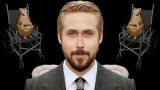 Cat falls off wheelchair, Ryan Gosling gets pissed