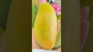 Fresh Mango Fruit Cutting #fruit #mango #shorts