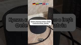 Будет ли работать Яндекс Алиса в Израиле, Польше и ОАЭ?