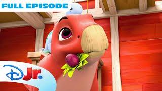 Disney Jr.'s Dino Ranch Full Episode | S3 E17 | Rock-a-Bye Jasper / The Best Cure of All | @disneyjr