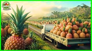 How Hawaii Farmers Harvest Millions of Pineapples - Hawaii Food | Farming Documentary