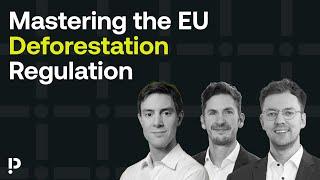 Mastering the EU Deforestation Regulation