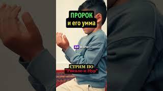 ПРОРОК И ЕГО УММА | #ислам #иман #религия #коран #рисалеинур #сунна #пророкМухаммад #мавлид