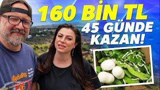 İpek Böceği  ile 160 BİN TL Kazan! 1 Dönüm Araziden 45 Günde (Detaylı Anlatım)