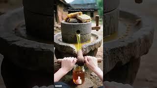 Stone Mill Honey Extraction: Pure Gold from Nature