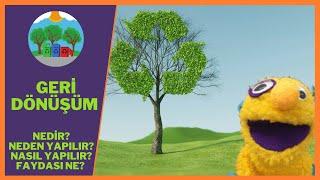 GERİ DÖNÜŞÜM NEDİR? NEDEN VE NASIL YAPILIR? | OKUL ÖNCESİ DÜNYA ÇEVRE GÜNÜ