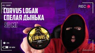 ОБЗОР СНЮС CORVUS LOGAN ДЫНЯ НОВЫЙ ВКУС + КОНКУРС КОНТРОЛИЧ