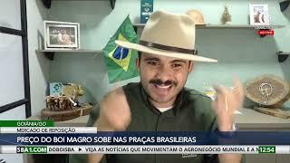 Mercado do boi gordo e reposição têm perspectivas positivas para o segundo semestre