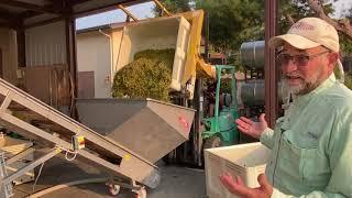 In the Vineyard-Machine Harvesting with the Pellenc 8090 September 16, 2020