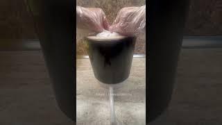 Сыродавленное масло расторопши. Настоящий холодный отжим. /  Raw milk thistle oil. A real cold press