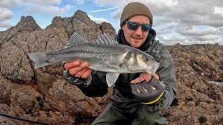 LURE FISHING FOR BASS IN WINTER | THE FIRST SESSION OF 2025