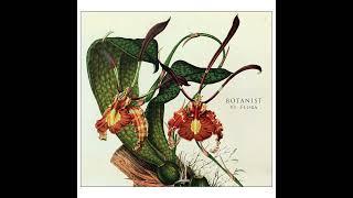 Botanit - Callistemon