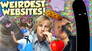 WEIRD USELESS WEBSITES! - Diamondbolt