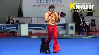 Dog Dancing Show "Eurasia  2012 / Russia / Moscow". Freestyle.