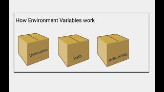 What are environment variables How do they work