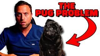 The Pug Problem