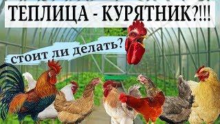 Птицеводство #12. Как быстро построить курятник? Теплица как птичник.