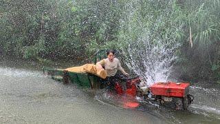 giant jackfruit tree transporter
